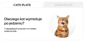 Zastanawiasz się, dlaczego kot wymiotuje po jedzeniu? Sprawdź 7 przyczyn i dowiedz się, jak pomóc swojemu pupilowi.